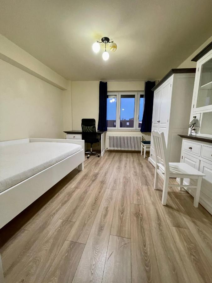 Cozy Central One Bedroom كلوج-نابوكا المظهر الخارجي الصورة